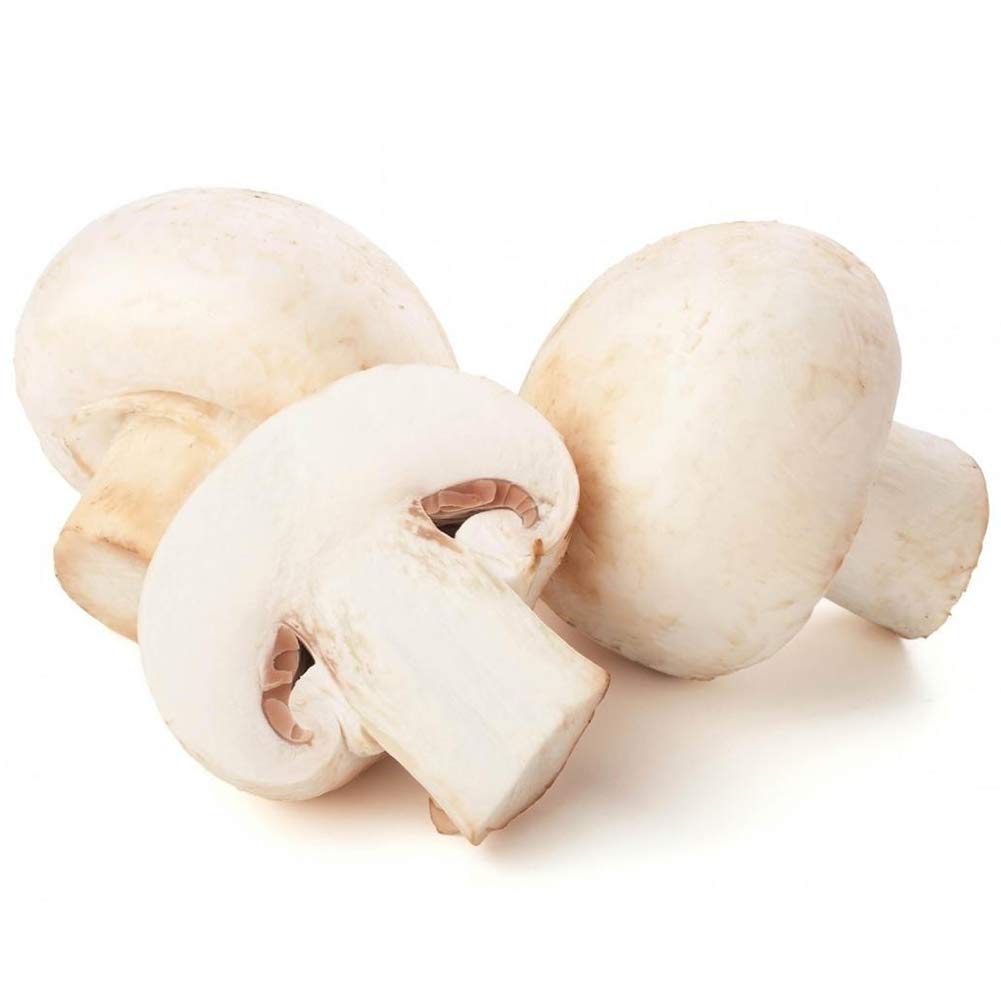 Mushroom Vegetable Seeds - Plant Nutritious White Mushrooms For A Bountiful Harvest