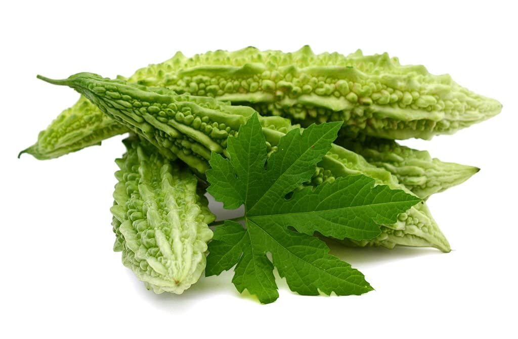 Bitter Melon Momordica charantia for planting in vegetable patch