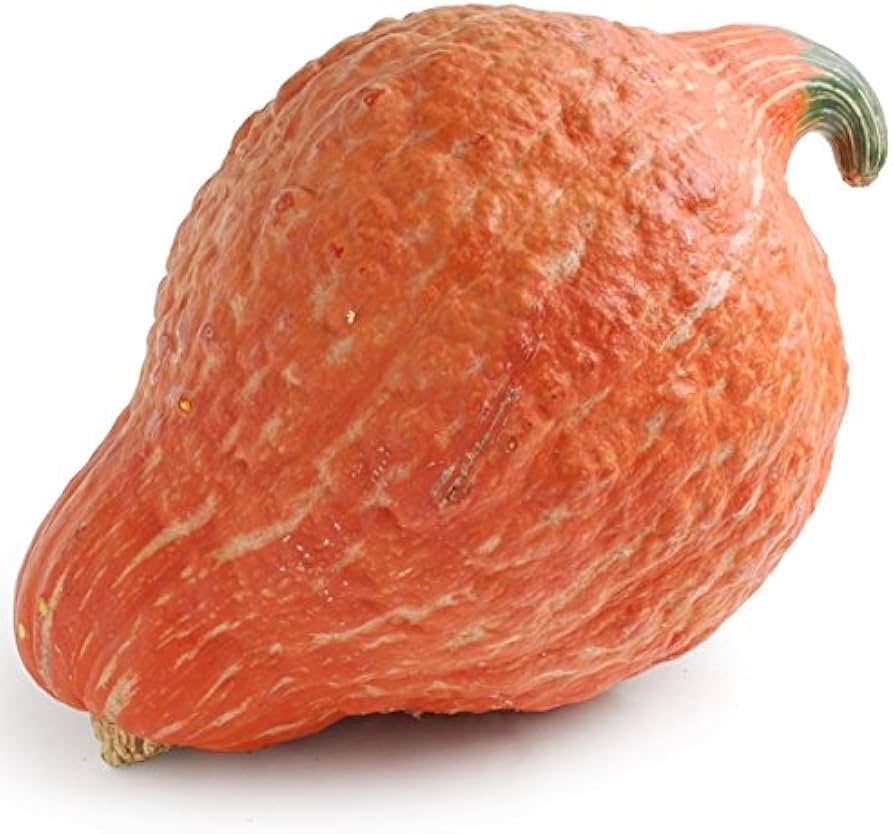 Hubbard Golden Winter Squash Seeds for rich, dense squash