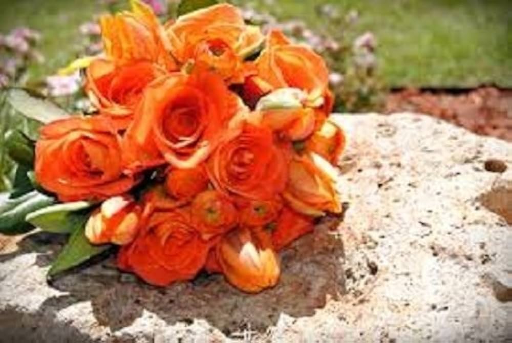 Orange Eustoma Lisianthus Flower Seeds for Planting, Heirloom Non-GMO Organic Garden Seeds
 
 Sale seeds for home garden
