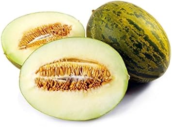 Green Toadskin Melon Seeds For Planting - Heirloom Fruit Variety