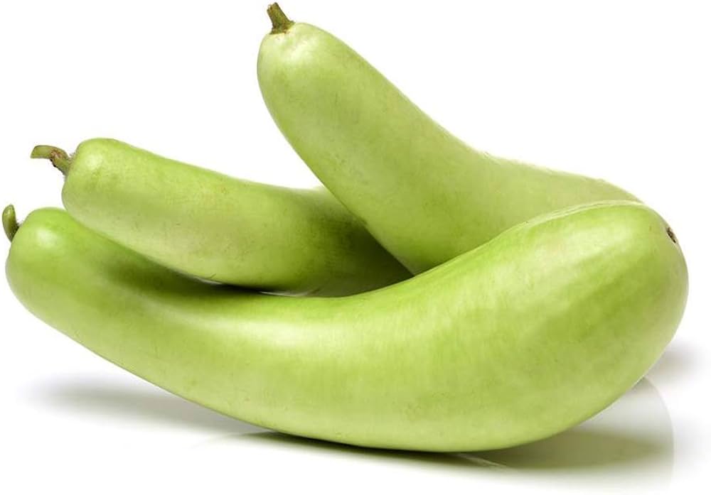 Bottle Pumpkin Lagenaria siceraria for planting in home garden