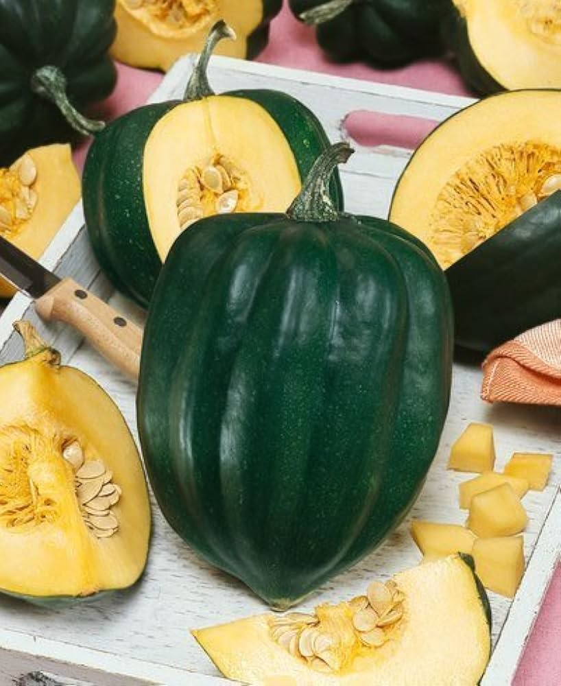 Table King Acorn Winter Squash Seeds