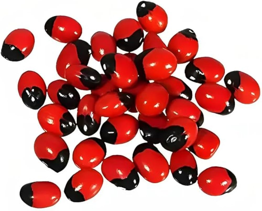 Ravanello Sileziya Raphanus Sativus Seeds for planting in vegetable patch