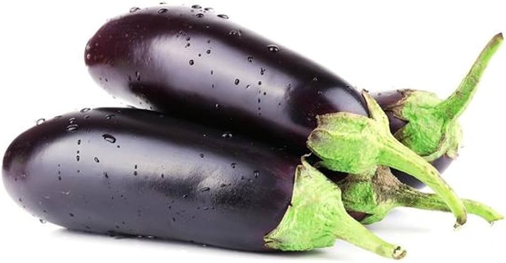Eggplant Solanum Melongena Seeds for planting in vegetable patch