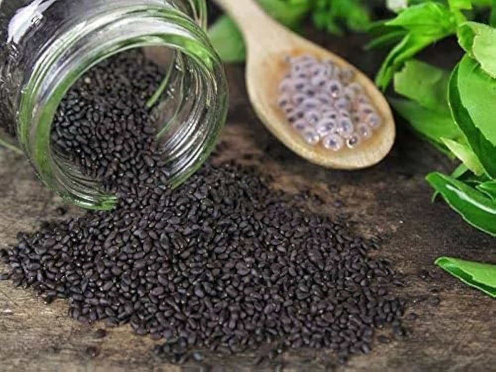 Sweet Basil Ocimum basilicum Seeds for planting in vegetable patch
