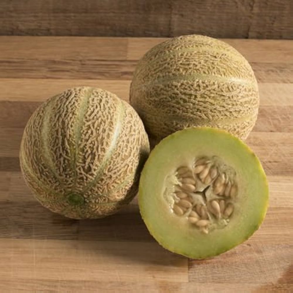Muskmelon Cucumis melo seeds for planting in vegetable patch
