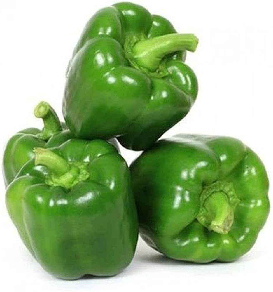 Capsicum Capsicum annuum for planting in vegetable patch.