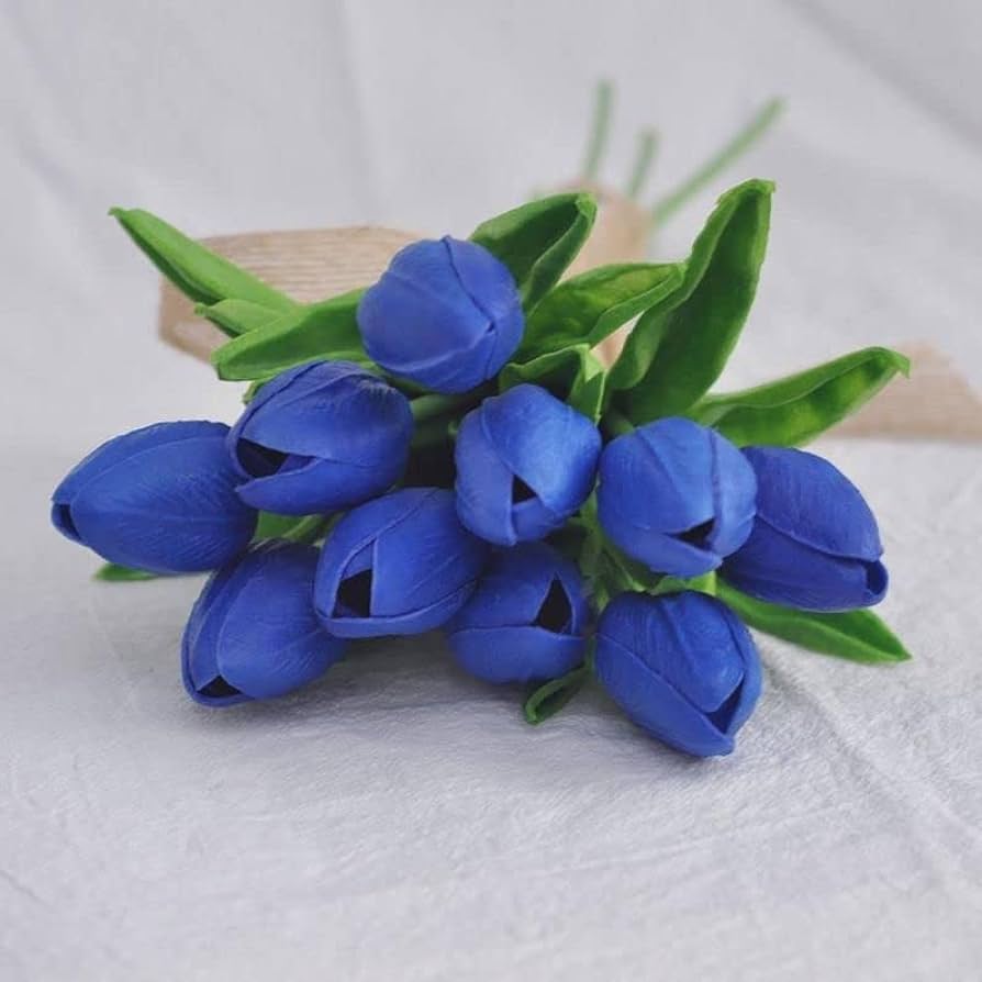 Tulip Blue Flower Seeds for Planting  Vibrant Blue Blooms for Your Garden