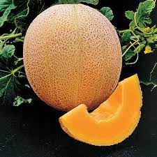 Yellow Galia Melon Vegetable Seeds Planting Sweet