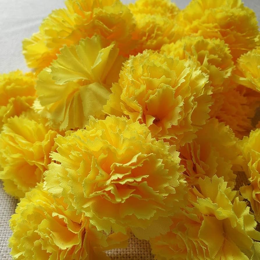 Yellow Carnation Flower Seeds For Planting