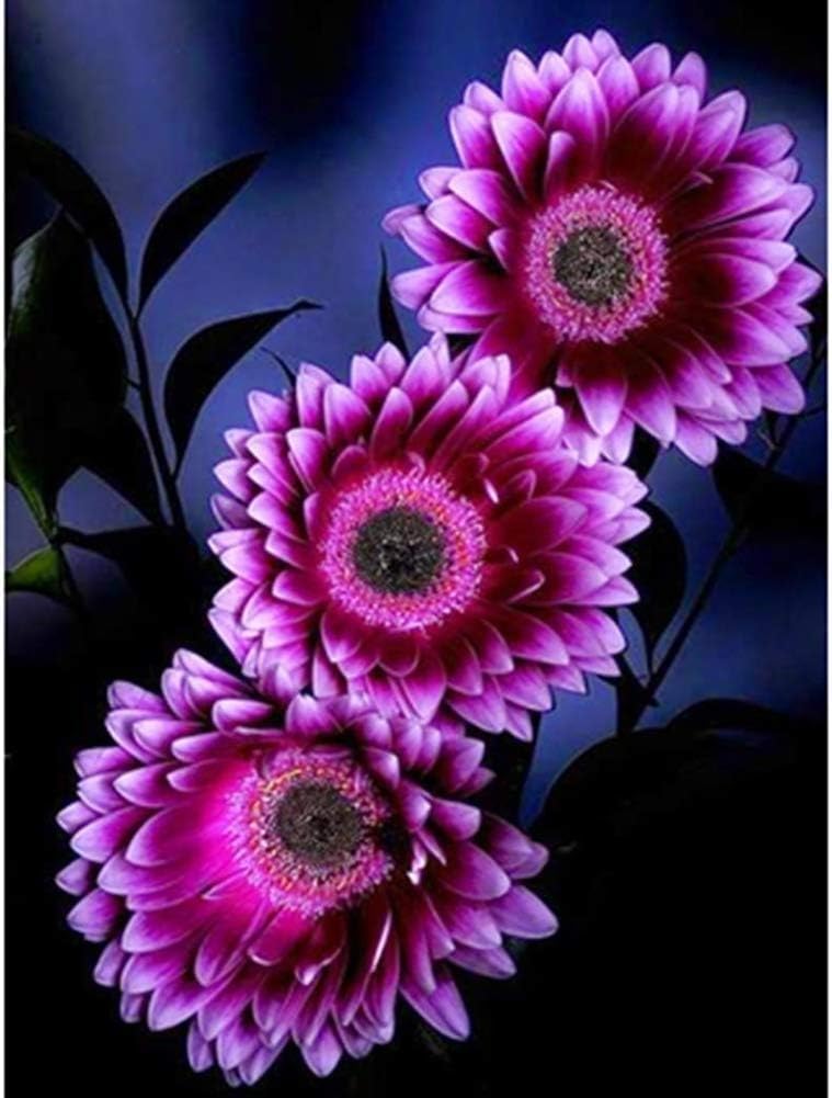 Purple Sunflower Seeds - Enchanting Blooms For Your Garden Best Selling