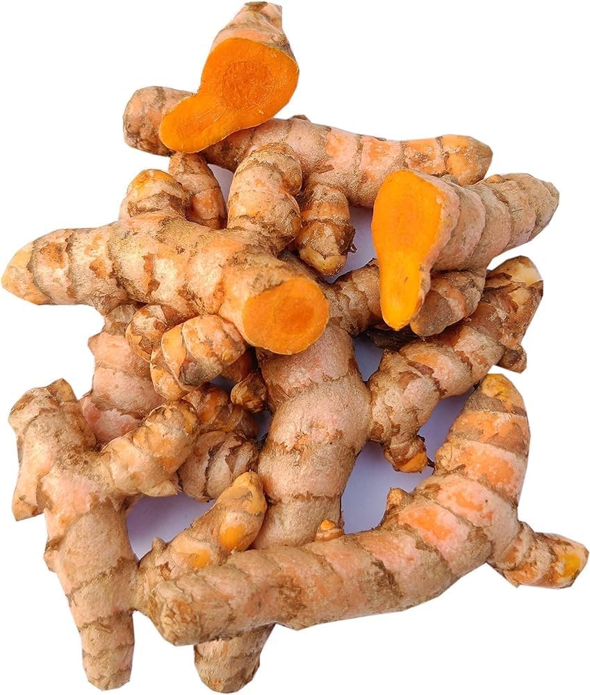 Turmeric Root Planting Seeds For Healing