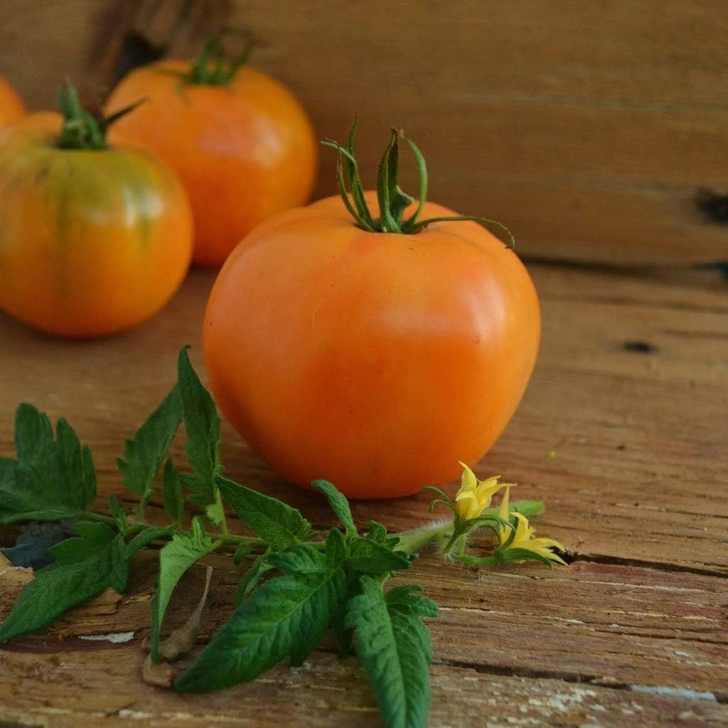 Tomato Orange Seeds For Planting: Quality Your Garden Vegetable Seeds