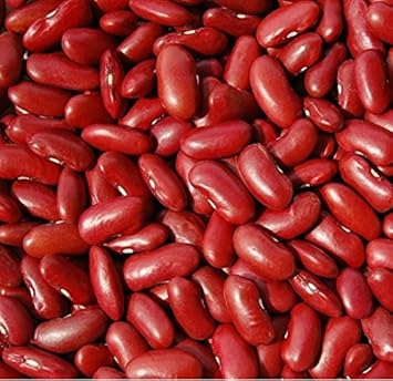 Red Kidney Bean Seeds For Planting