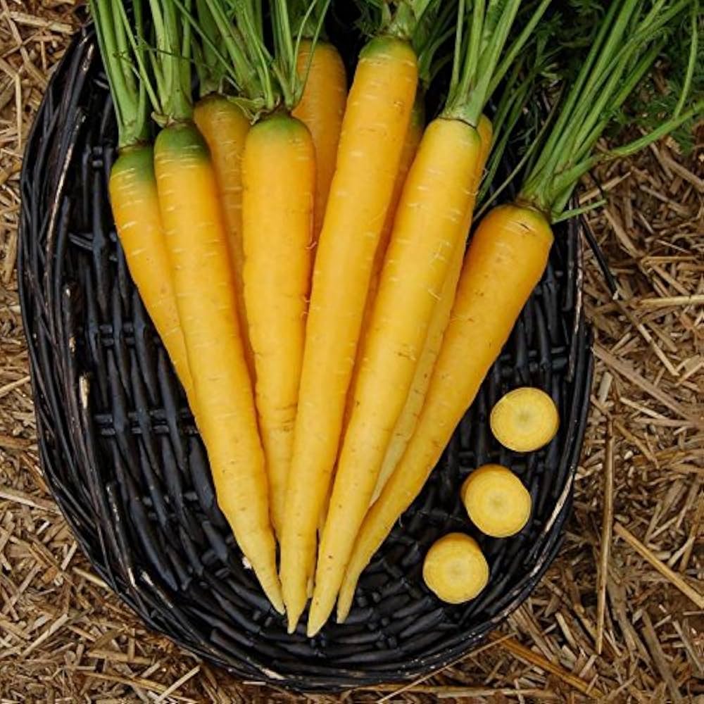 Yellow Carrot Planting Seeds Collection