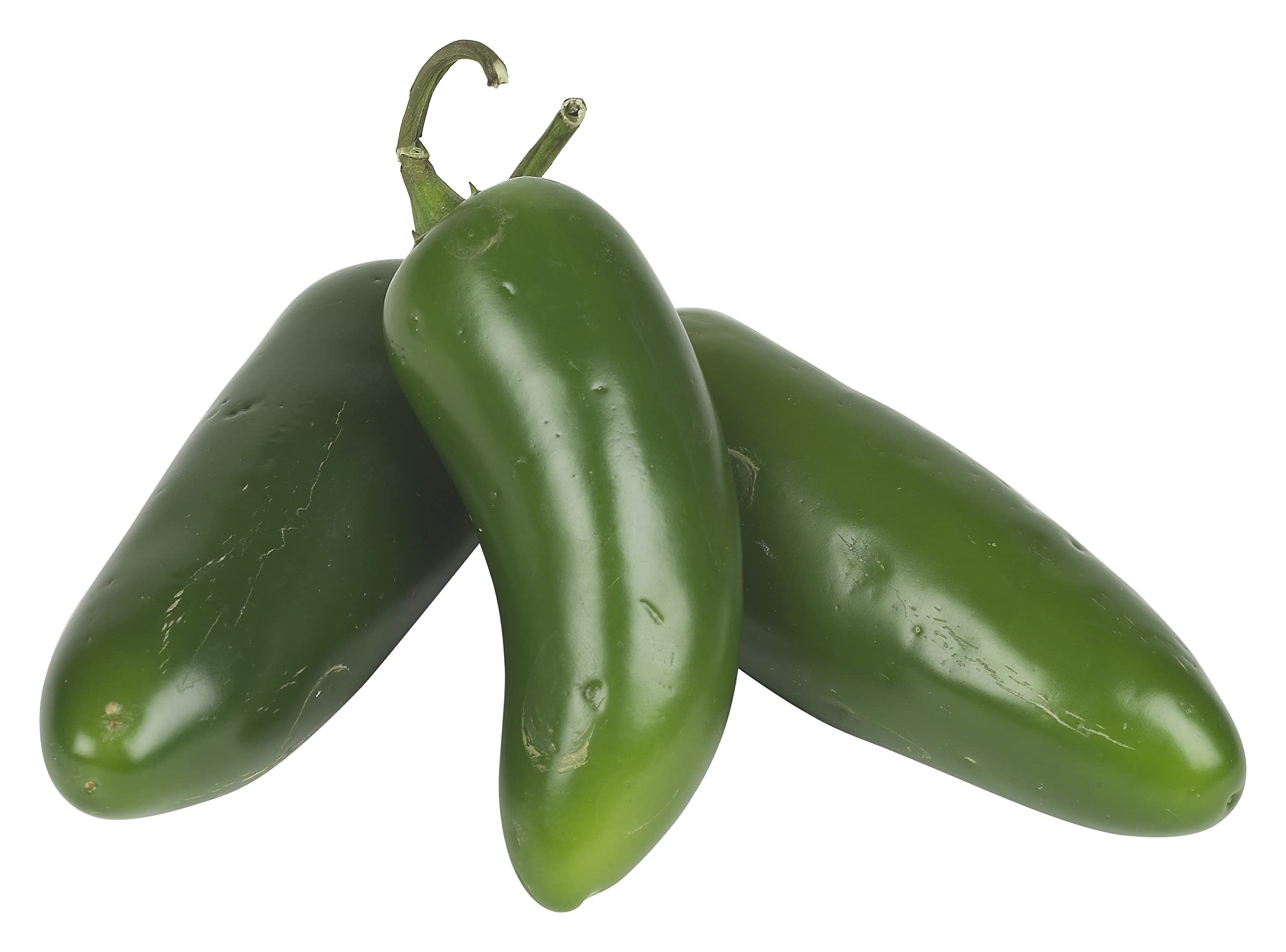 Bio Jalapeno Pepper Seeds organic spicy chili