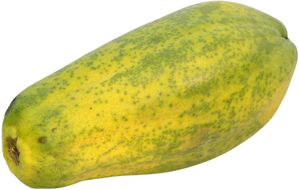 Giant Papaya Carica papaya for planting in vegetable patch.