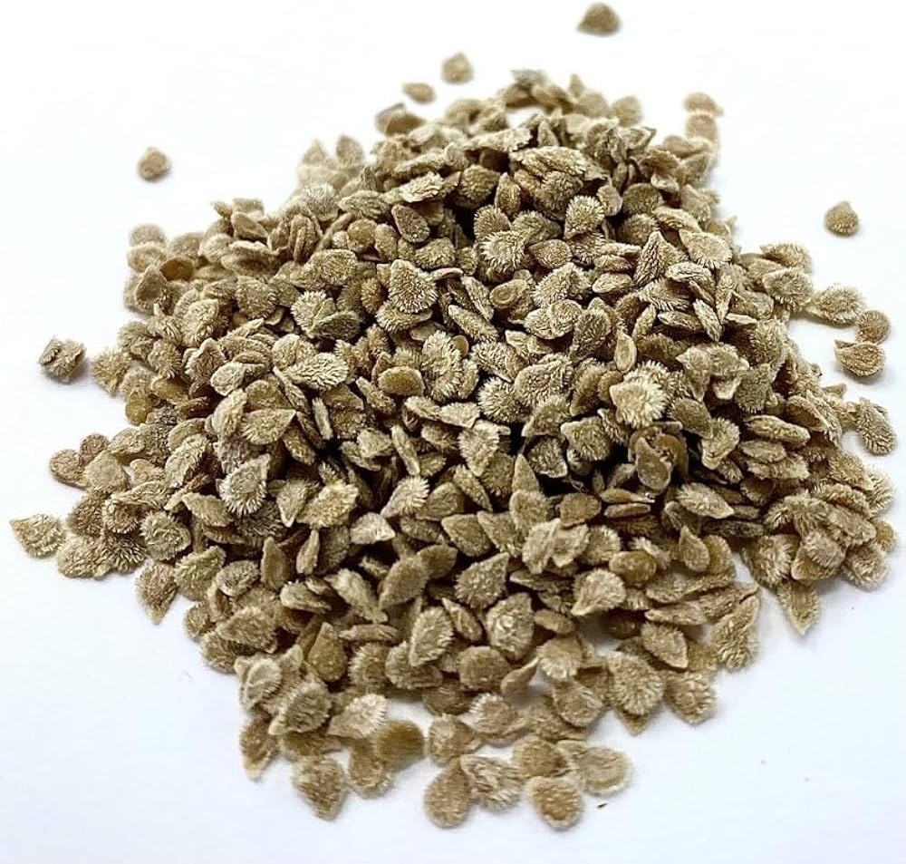 Brown Flesh Organic Tomato Seeds for Richly Flavored Garden Tomatoes