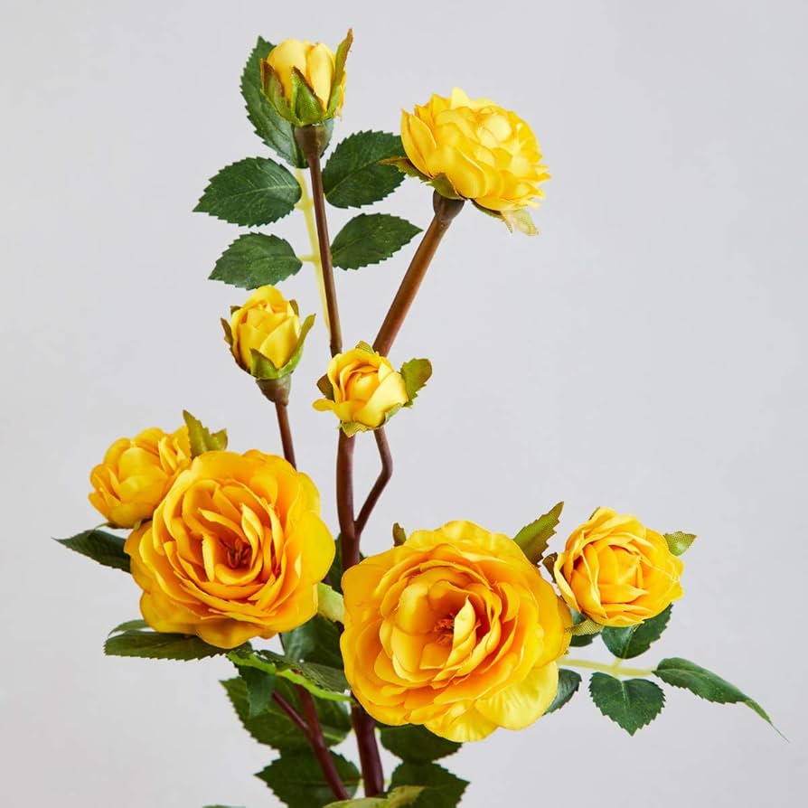 Yellow Rose DIY Garden Seeds for planting