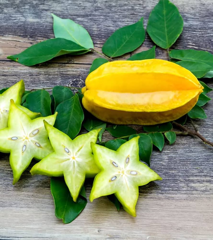 Star Fruit Seeds Averrhoa carambola for planting in urban garden