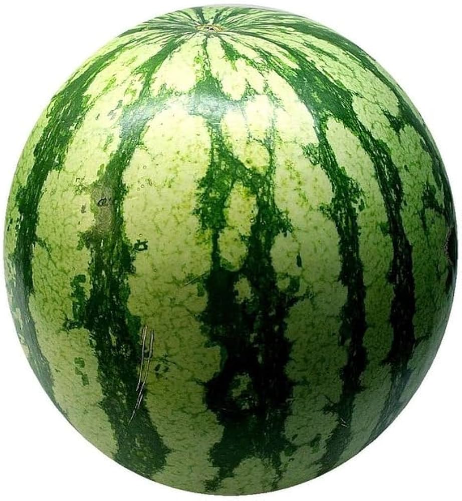 Kakhovskiy Watermelon for planting in vegetable patch