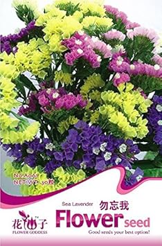 Mixed Sinensis Patula Flower seeds for Planting - Garden Favorite, Heirloom & GMO Free Seeds for Home Garden
 
 Sale for planting in home garden