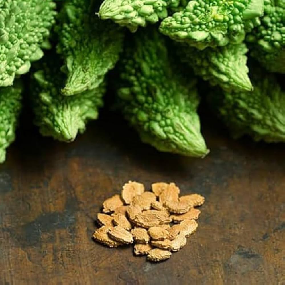 Bitter Gourd Momordica charantia for planting in vegetable patch