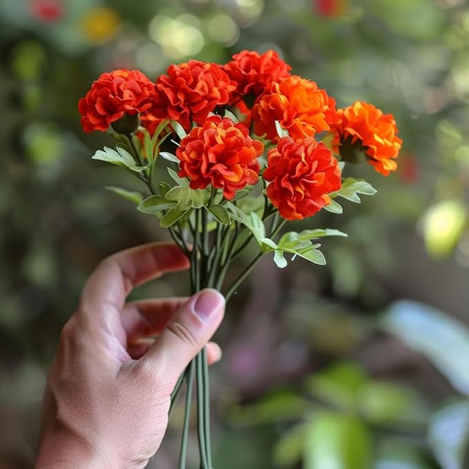 Dark Red Marigold Flower Seeds For Planting - Vibrant Annuals