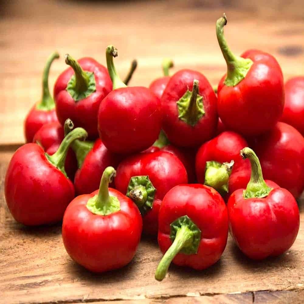 Hot Red Cherry Pepper vegetable seeds for spicy gardens