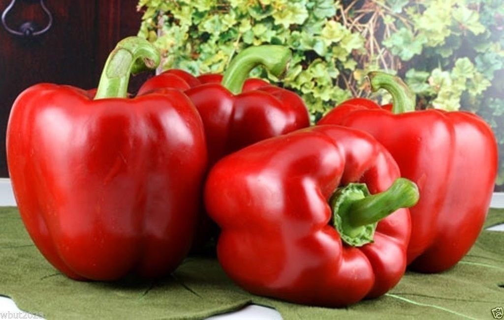 Peperone Dolce California Wonder seeds for sweet peppers