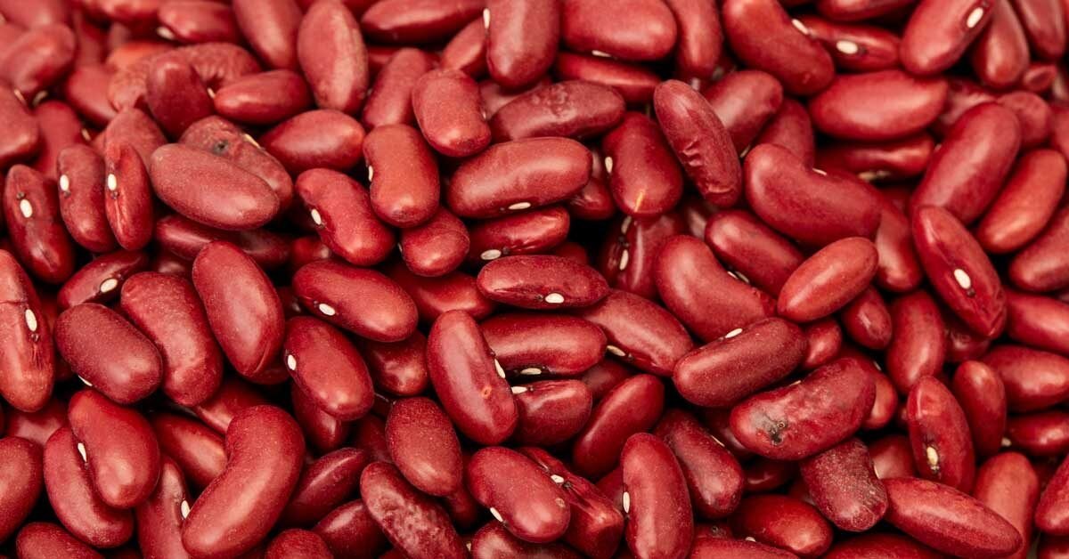 Red Kidney Bean Seeds For Planting