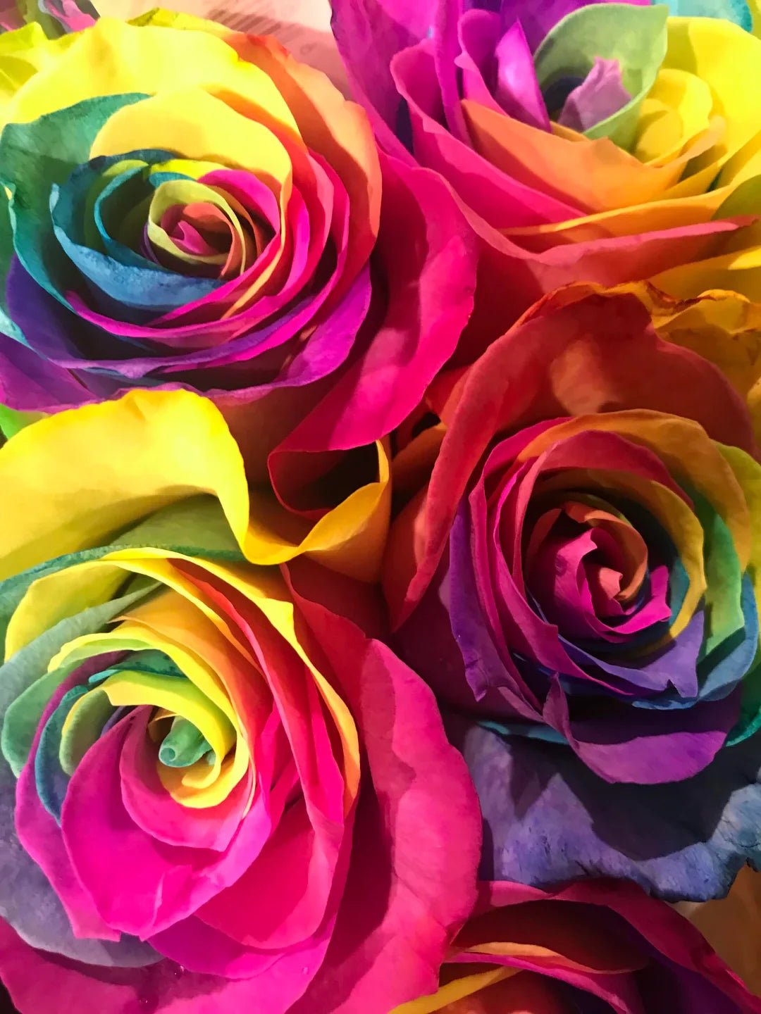 Rose Flower Seed Planting Multi-Colour: A Vibrant Collection For Your Garden Seeds