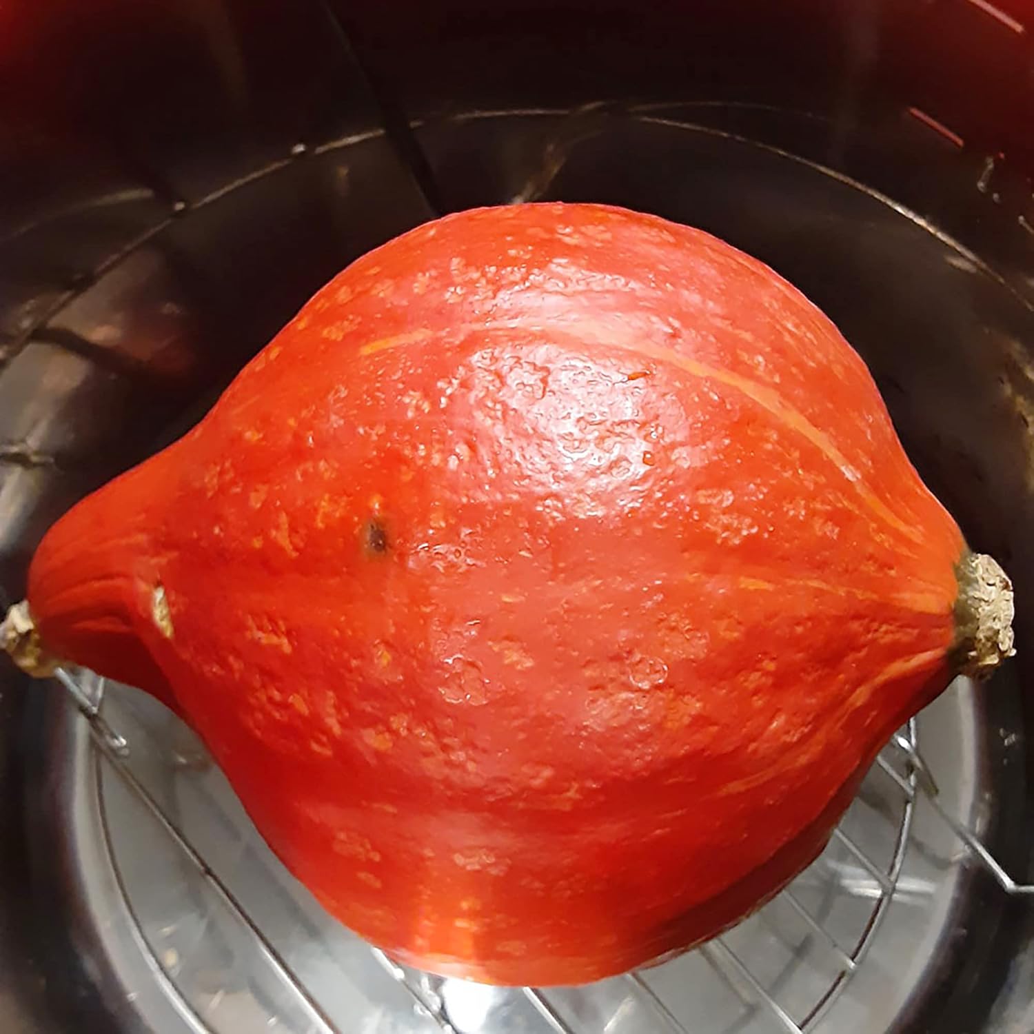 Red Kuri Squash Seeds Cucurbita Maxima Rich Dense And Sweet Flesh Culinary Uses Nutritious