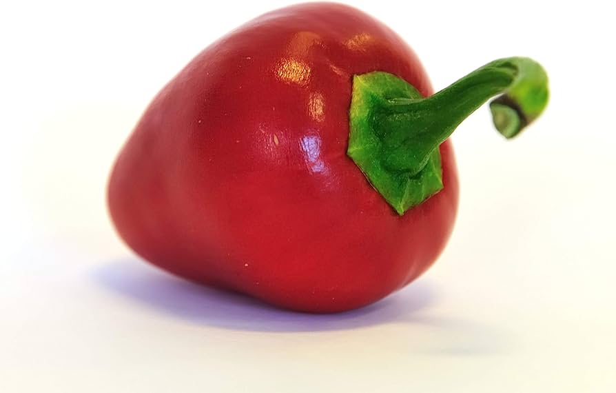 Pimento Capsicum annuum for planting in kitchen garden