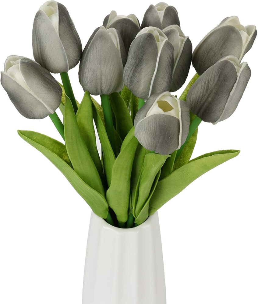 Dark Gray Tulip Flower Seeds For Easy Planting