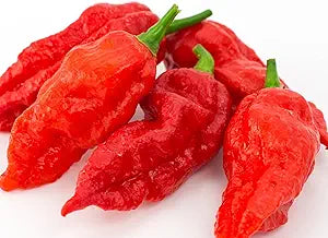Bhut Ghost Pepper seeds for extreme hot peppers