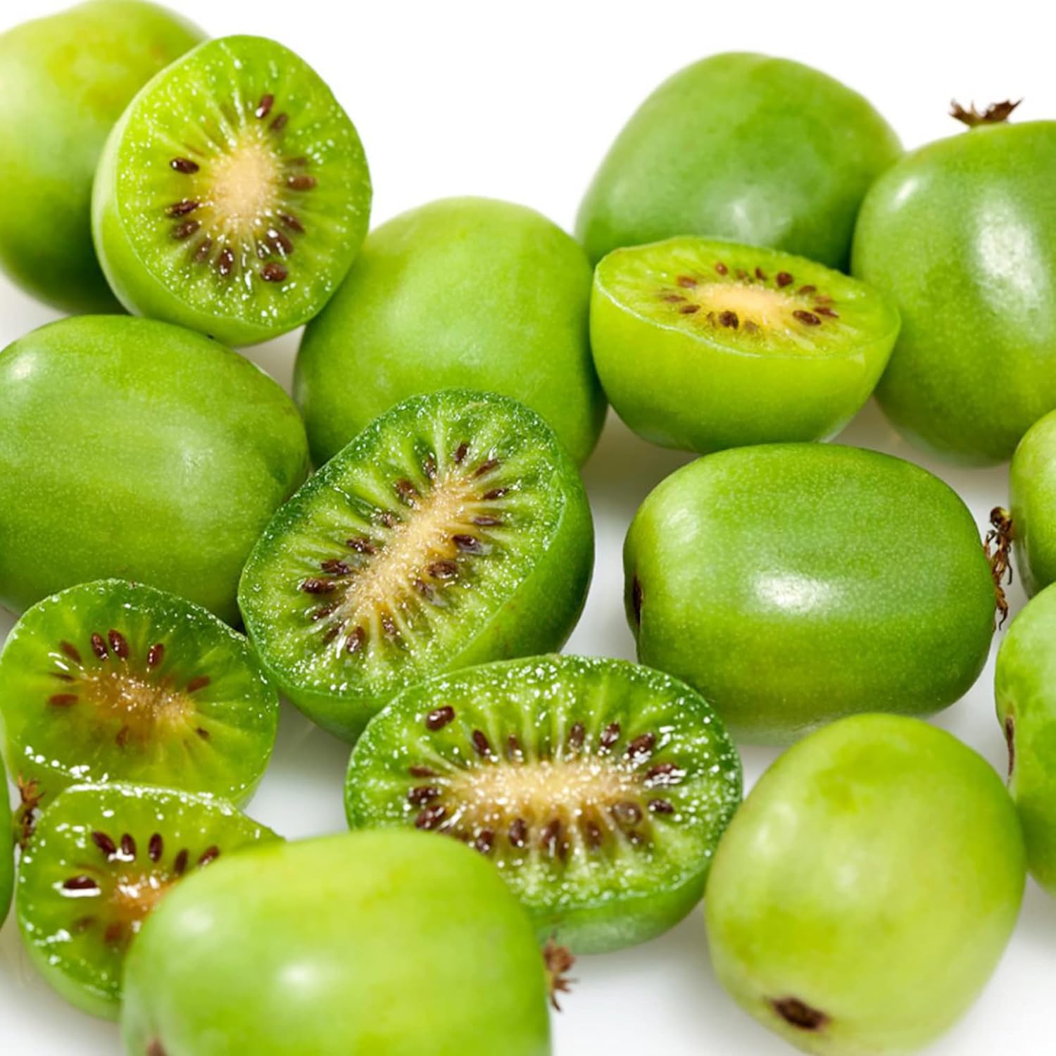 Hardy Kiwi Seeds Actinidia Arguta Perennial Gmo Free Fragrant Showy Fruit & Berries Climber