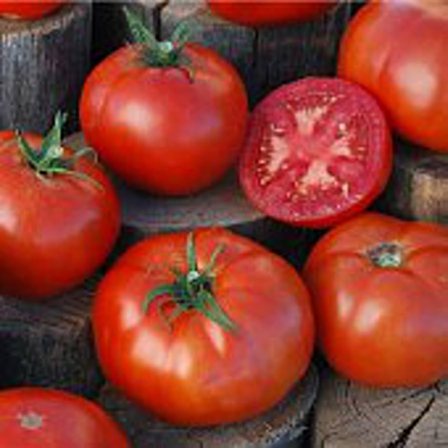 Peron Sprayless Tomato Seeds for Disease-Resistant, Heirloom Tomatoes