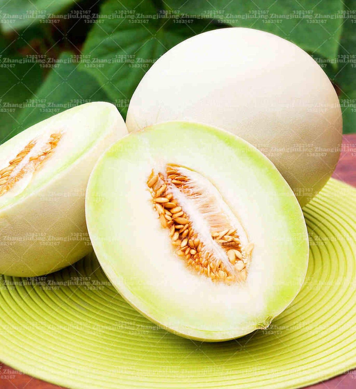 Pflanz Jumbo-Melone-Samen