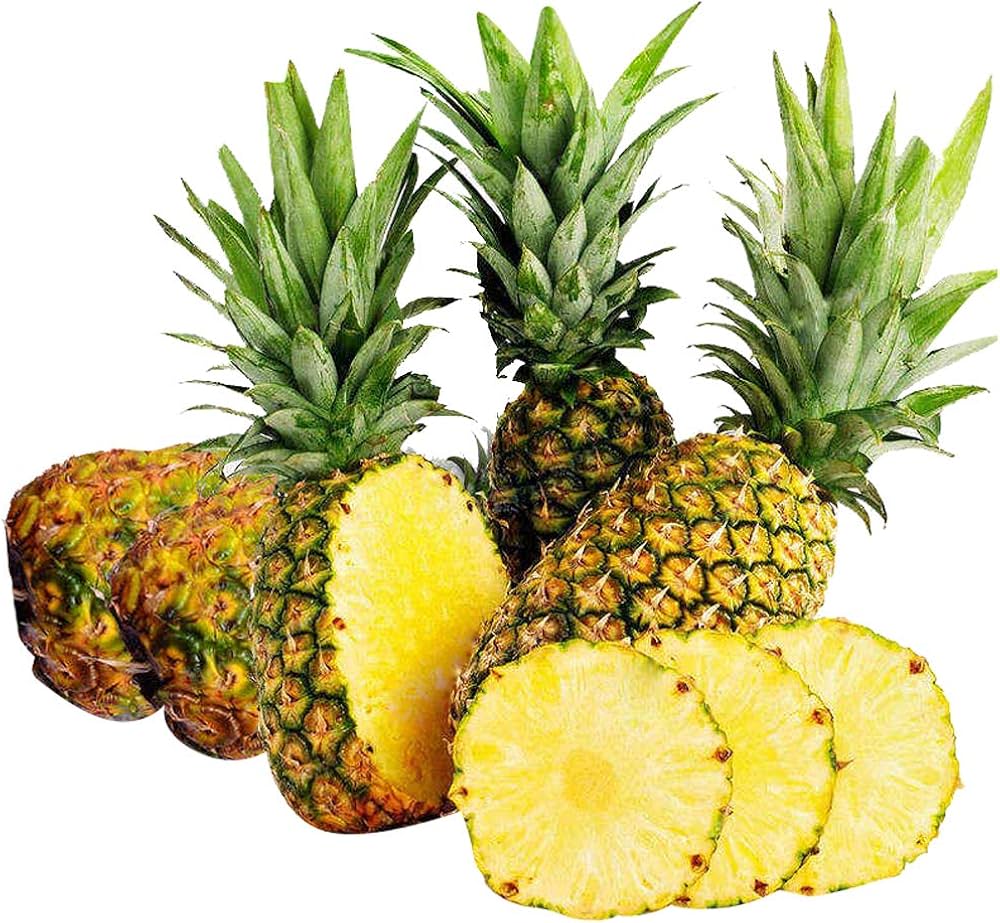 Pineapple Fruit Seeds Ananas comosus for planting in urban garden