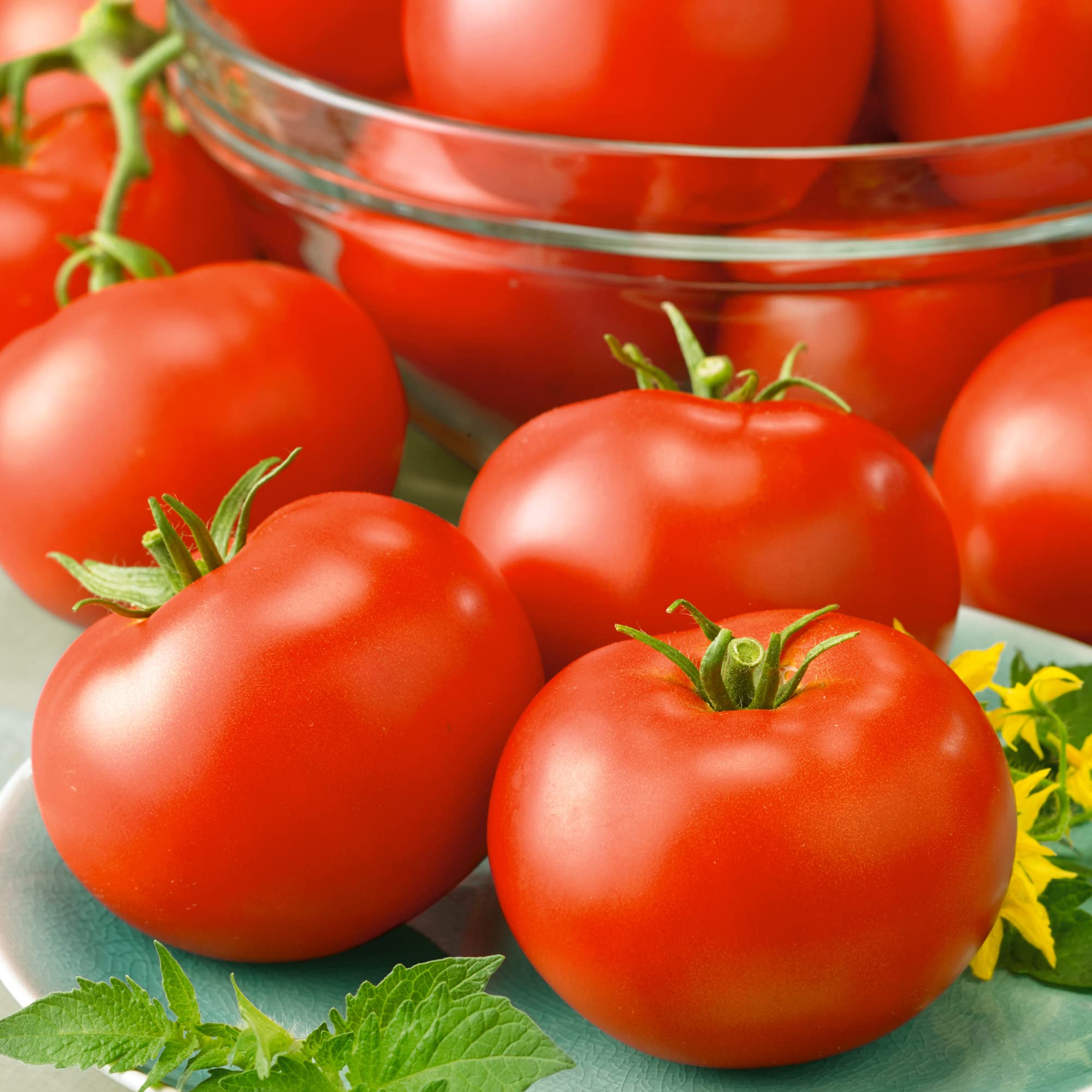 Red Horizon Tomato Seeds for Flavorful, Red Garden Tomatoes