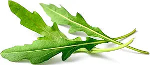 ARUGULA ROQUETTE Lettuce seeds for nutritious greens