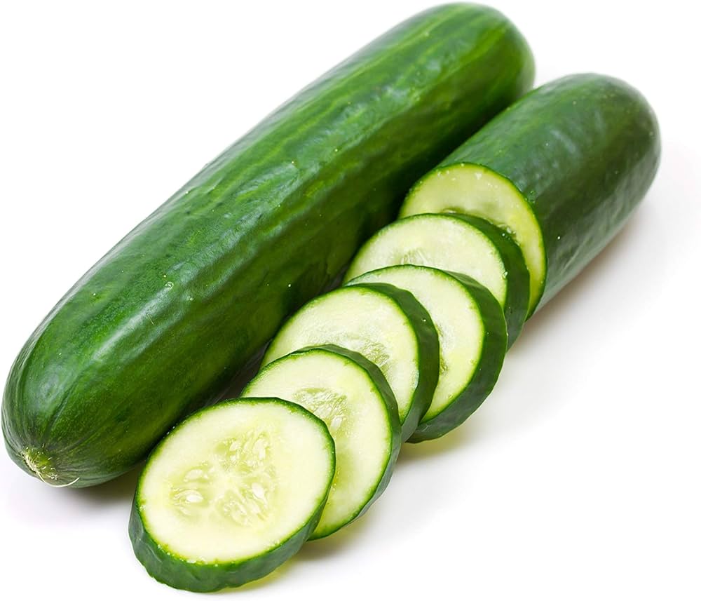 Dutch Small Cucumber Cucumis sativus for planting in urban garden