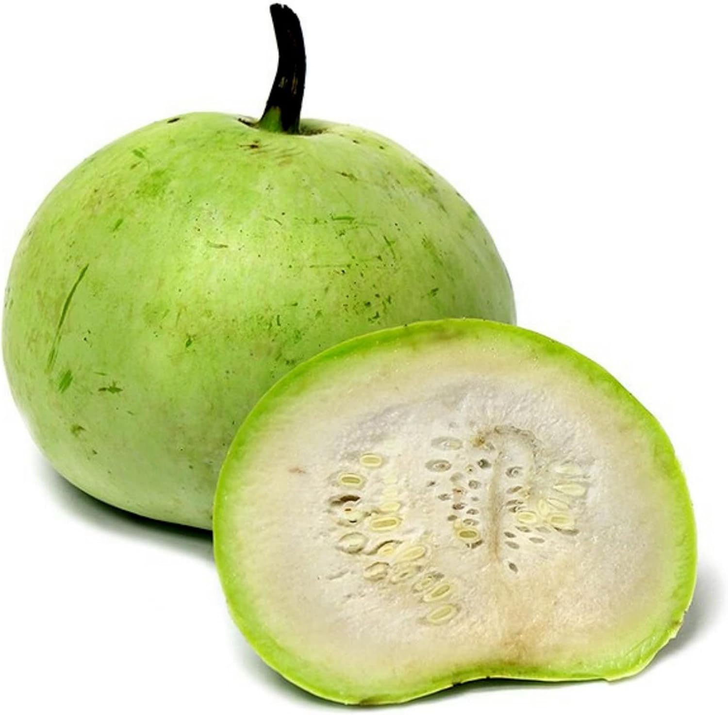 Tinda Gourd Seeds Apple Mild Slightly Sweet Flavor Tender Texture Trellis Fence Garden Outdoor