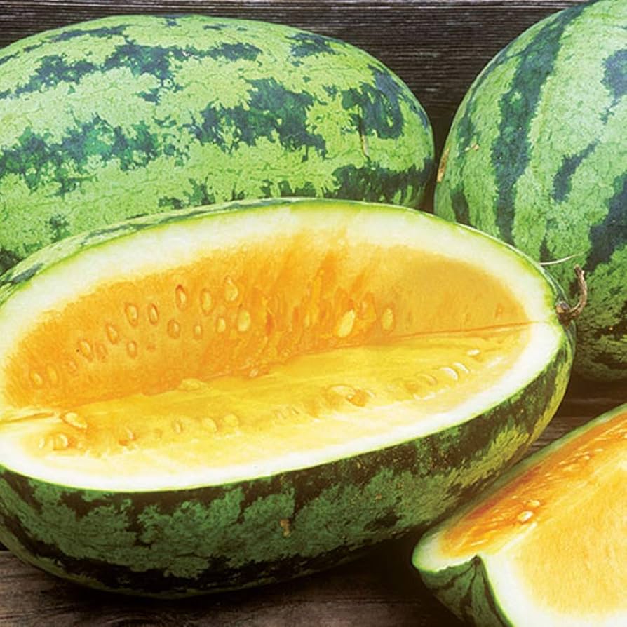 Orangeglo Watermelon Citrullus lanatus for planting in vegetable patch