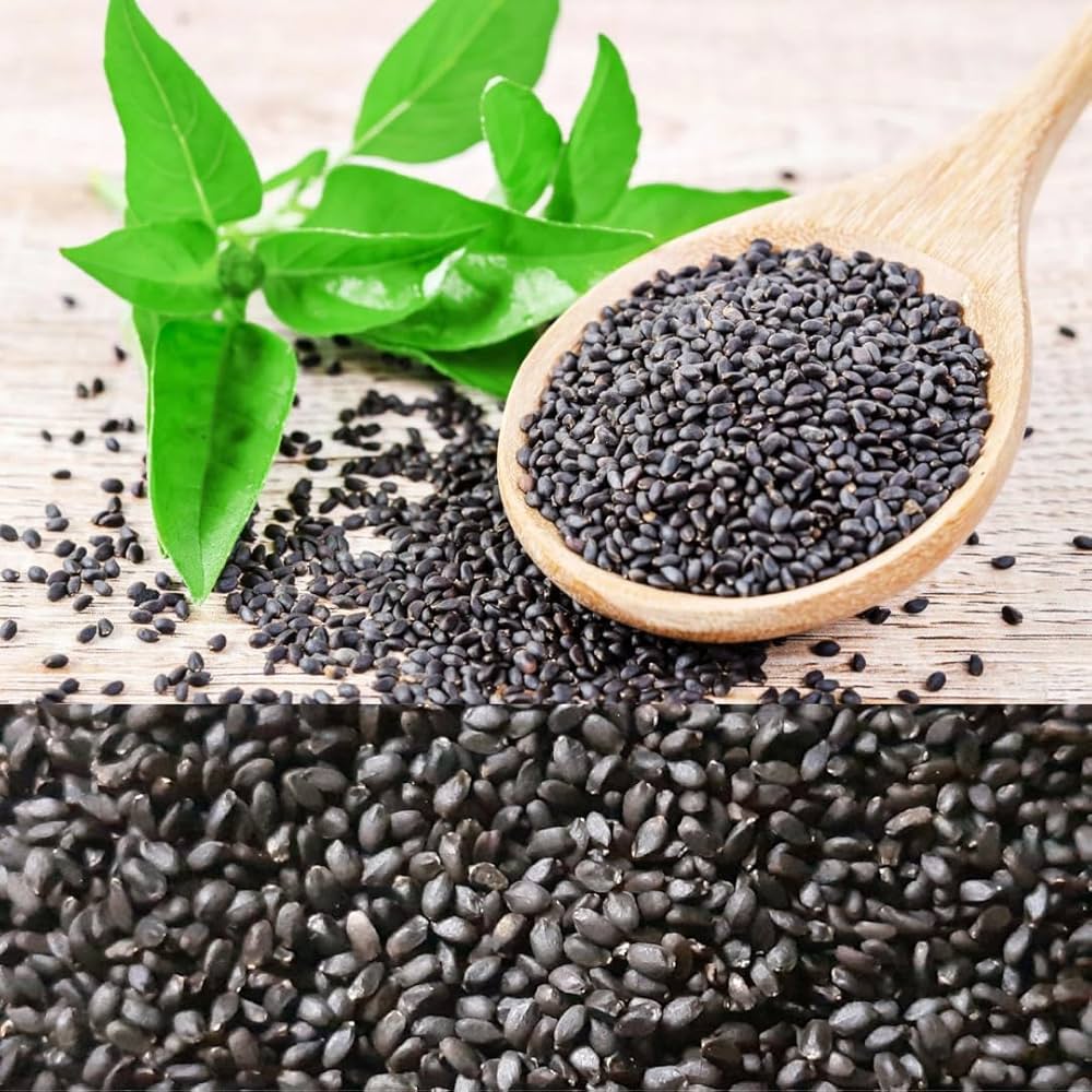 Sweet Basil Seeds Ocimum basilicum for Planting in Herb Garden and Kitchen Pot
