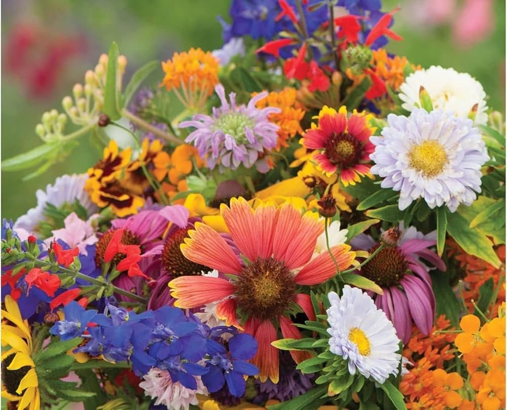 Wildflower Mix seeds for colorful blooms
