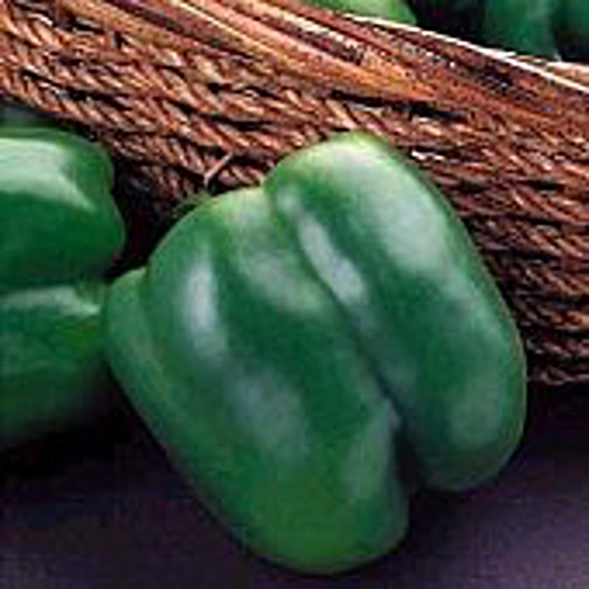 Organic Jupiter Heirloom Sweet Bell Pepper Seeds