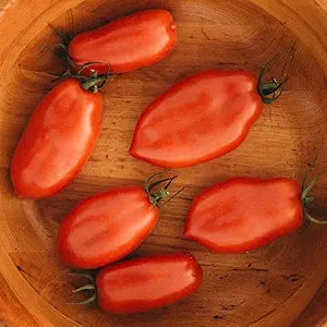San Marzano Tomato seeds for authentic tomatoes